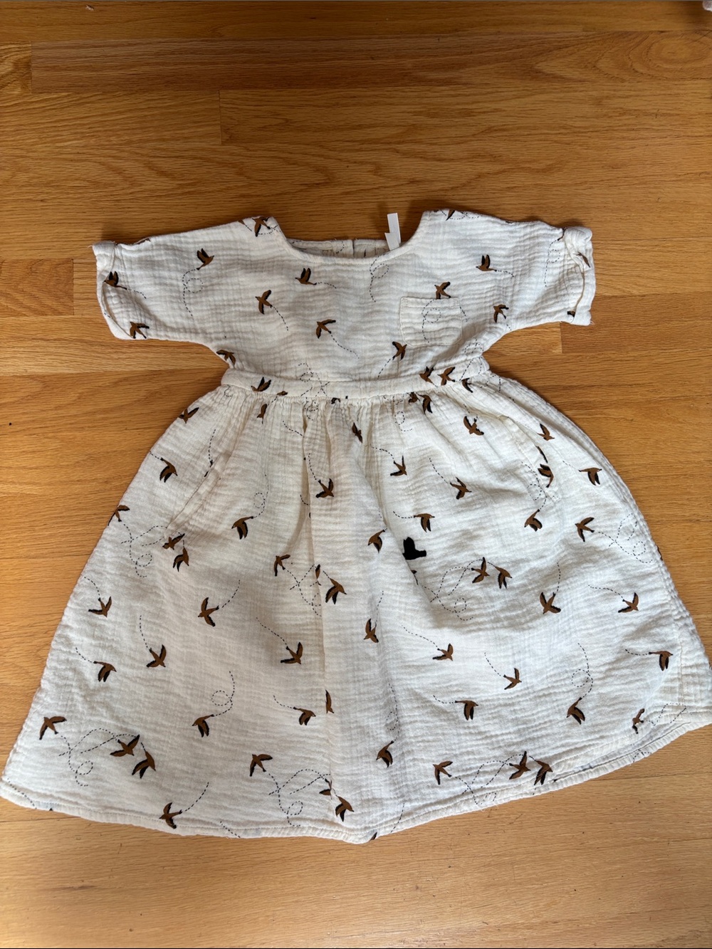 Rylee + Cru Cream Cotton Dress with Brown Bird Print
